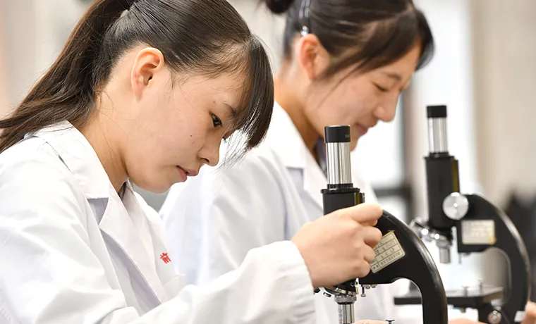 写真：科学部